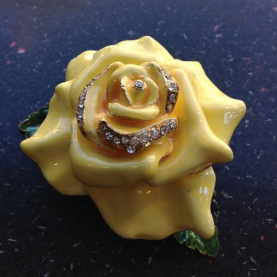 Friendship Rose Friendship Rose